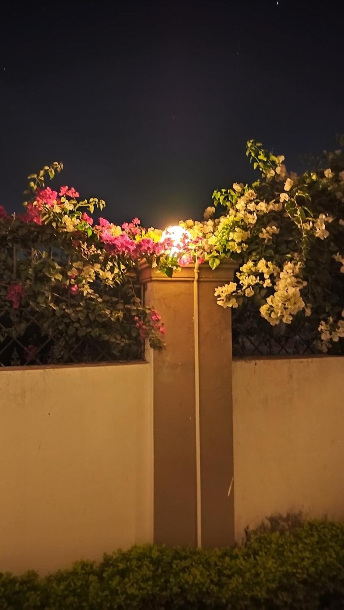 Shree Nanda Guest House Varanasi Exterior foto