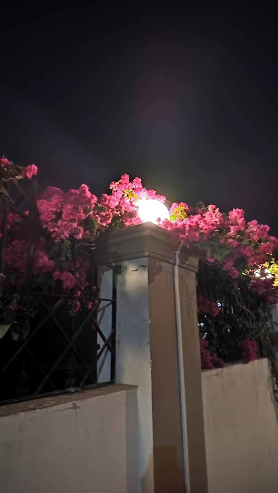 Shree Nanda Guest House Varanasi Exterior foto